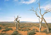 Go Walkabout In Arnhemland